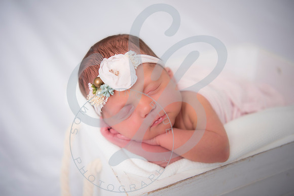 Adcock Twins - Newborn_070225_0196