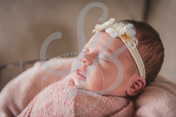 Mia - Newborn_052424_0398