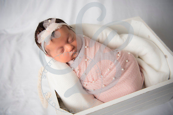 Adcock Twins - Newborn_070225_0123