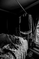 750_9174 copy