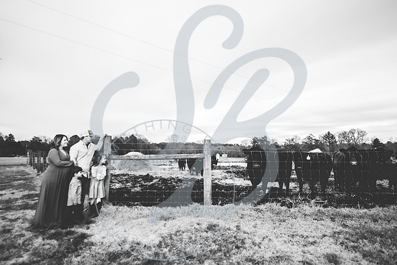 Erin - Maternity_012322_0159