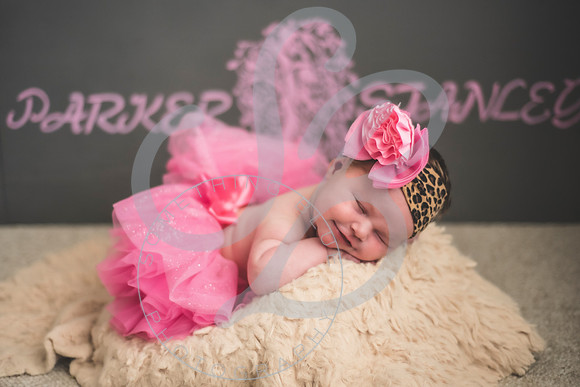 Parker - Newborn_030222_0376