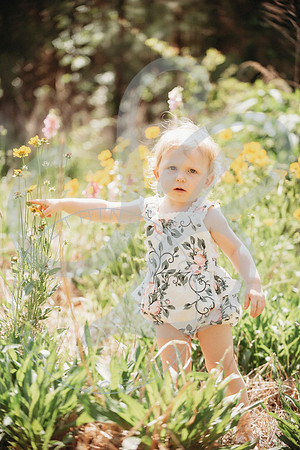 Molly - Mom Mini_051224_0358