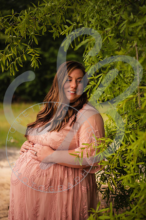 Adcock Maternity (twins)_060425_0185