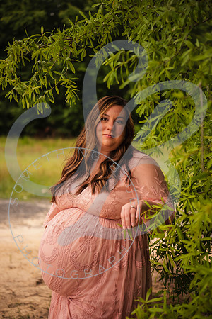 Adcock Maternity (twins)_060425_0197