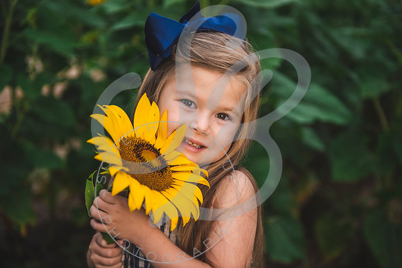 Sunflower Minis - Massie_082021_0017
