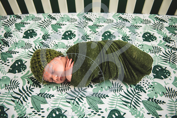 Alexander - Newborn_052522_0141