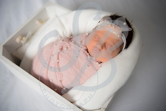 Adcock Twins - Newborn_070225_0122