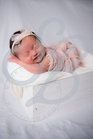 Adcock Twins - Newborn_070225_0140
