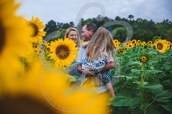 Sunflower Minis - Massie_082021_0051