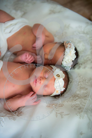 Adcock Twins - Newborn_070225_0244