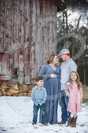 Erin - Maternity_012322_0031