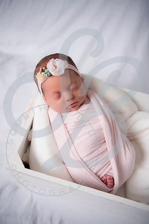 Adcock Twins - Newborn_070225_0156