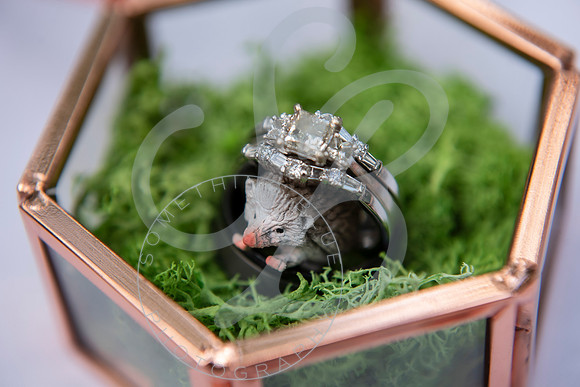 Sarah & Alex - Slideshow.085