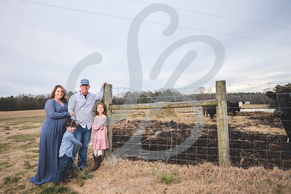 Erin - Maternity_012322_0152