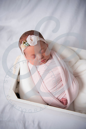 Adcock Twins - Newborn_070225_0155