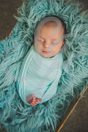 Crue - Newborn_083121_0209