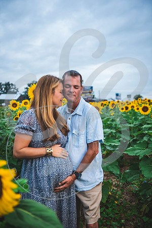 Sunflower Minis - Massie_082021_0074