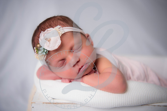 Adcock Twins - Newborn_070225_0172