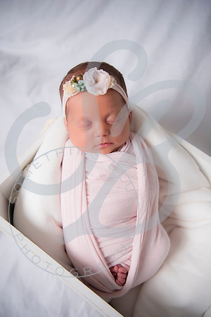 Adcock Twins - Newborn_070225_0169