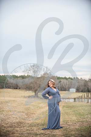 Erin - Maternity_012322_0315