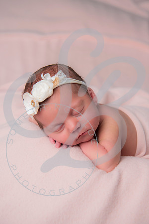 Adcock Twins - Newborn_070225_0307
