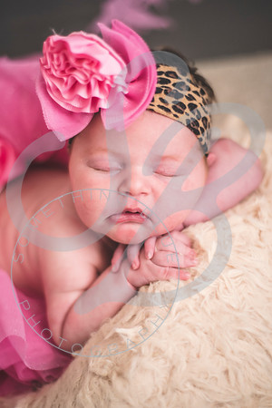 Parker - Newborn_030222_0402