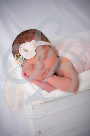 Adcock Twins - Newborn_070225_0192