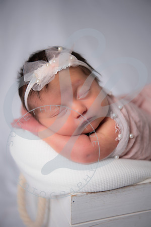 Adcock Twins - Newborn_070225_0137