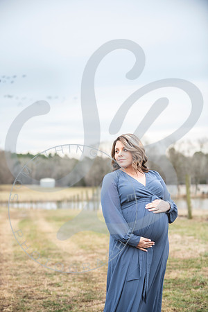 Erin - Maternity_012322_0281