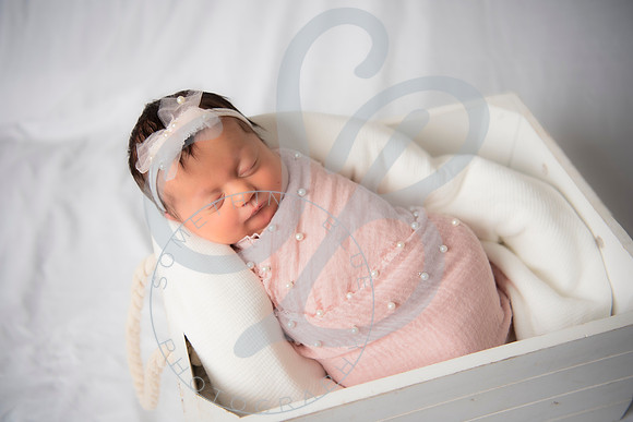Adcock Twins - Newborn_070225_0128