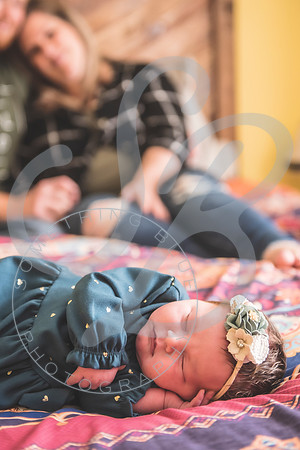 Parker - Newborn_030222_0103