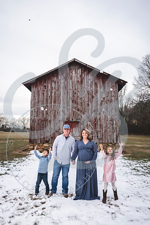 Erin - Maternity_012322_0108