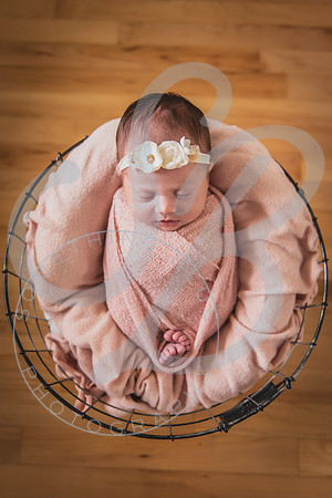 Mia - Newborn_052424_0384