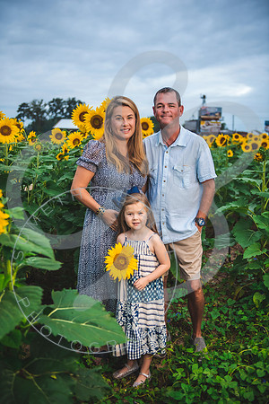 Sunflower Minis - Massie_082021_0019