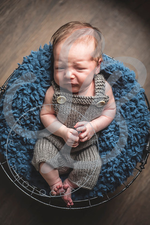 Maverick - Newborn_012122_0037