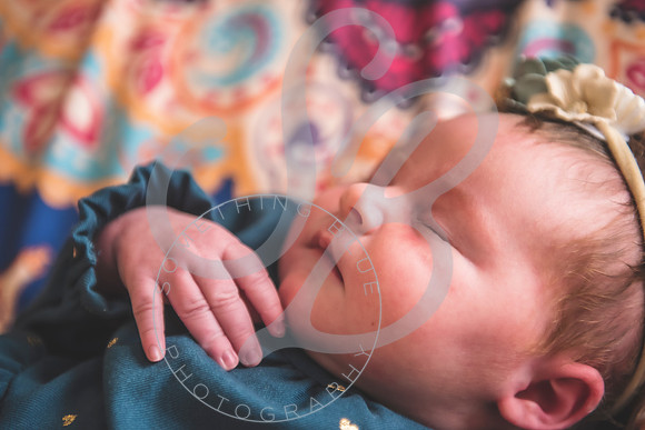 Parker - Newborn_030222_0053