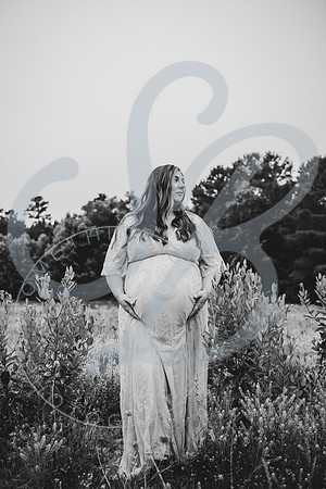 Adcock Maternity (twins)_060425_0272