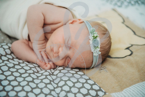 Eliana - Newborn_071522_0123