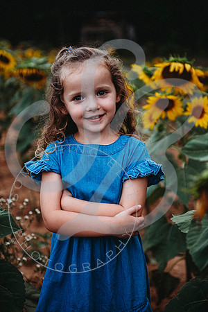 Sunflower Minis - Sherri_071422_0126
