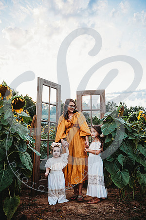 Sunflower Minis - Katelin_071222_0048