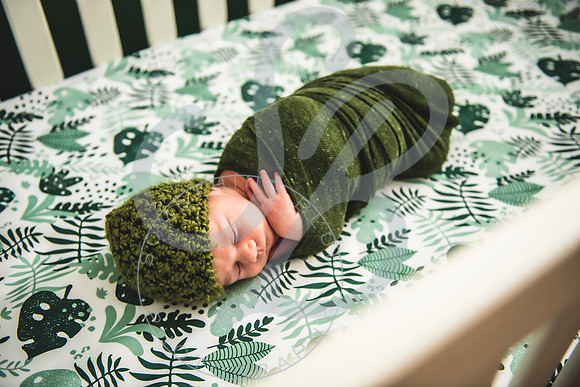 Alexander - Newborn_052522_0139