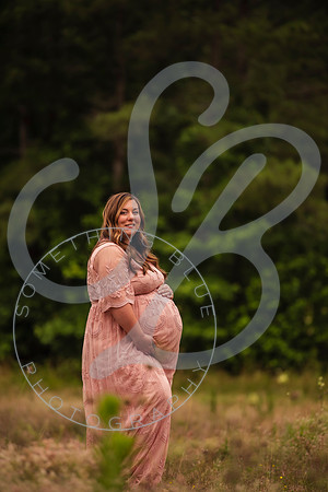 Adcock Maternity (twins)_060425_0111