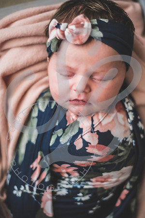 Parker - Newborn_030222_0283