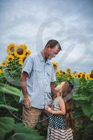 Sunflower Minis - Massie_082021_0181