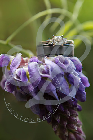 Sarah & Alex - Slideshow.084