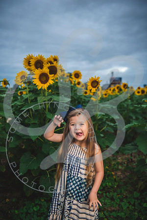 Sunflower Minis - Massie_082021_0002