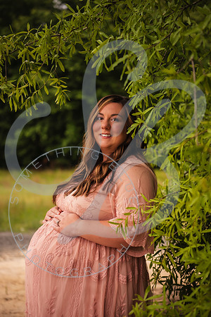 Adcock Maternity (twins)_060425_0178