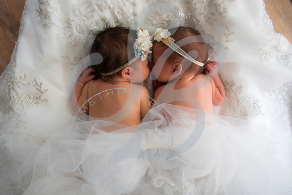 Adcock Twins - Newborn_070225_0253