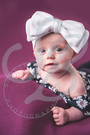 Sadie - 4 Month_020622_0024